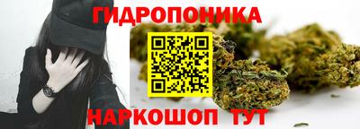 спиды Братск