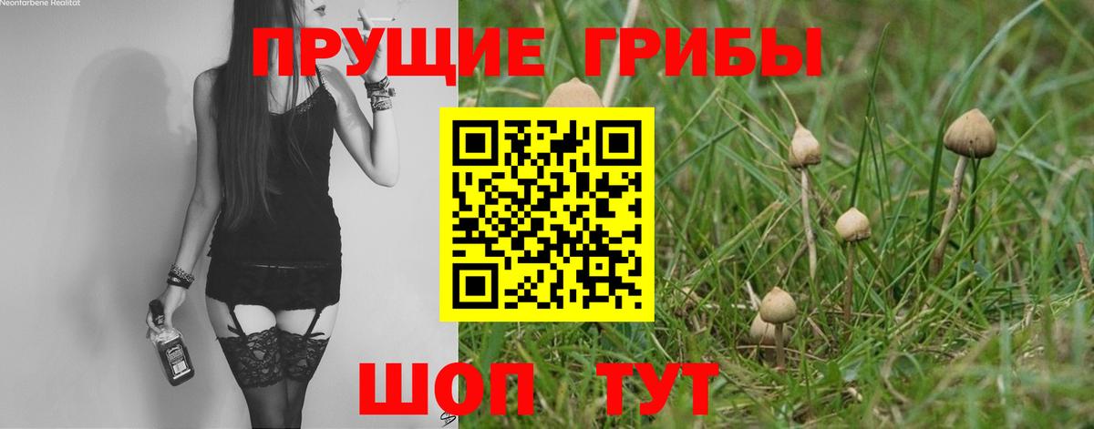 Псилоцибиновые грибы Psilocybe  Псилоцибиновые грибы Magic Shrooms  Вход с VPN  Гулькевичи 